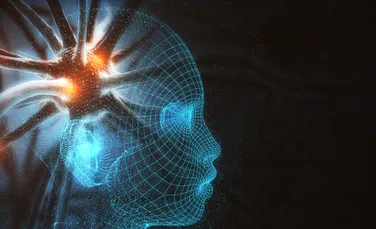 Celule cerebrale „hibride”, descoperite în creierul oamenilor