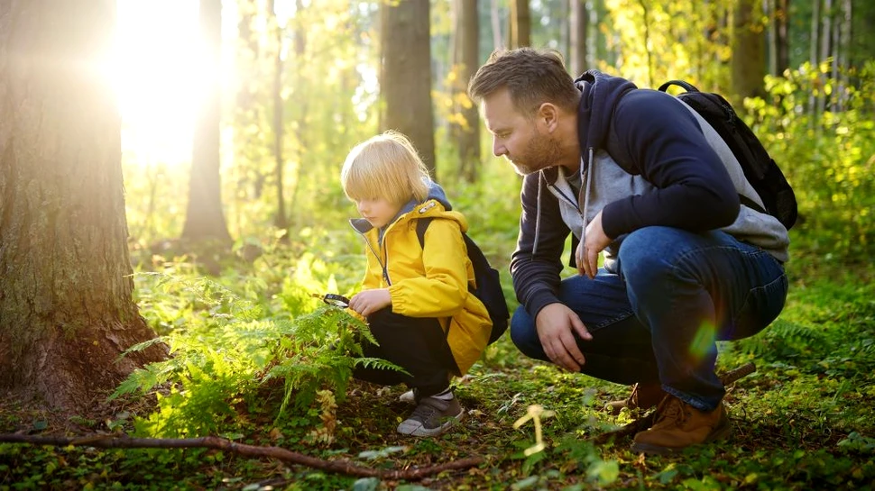 Contactul cu natura în orașe reduce în mod semnificativ singurătatea