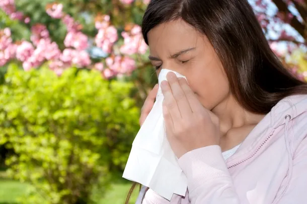O formă frecventă a alergiilor o reprezintă alergiile sezoniere, care apar mai ales primăvara.