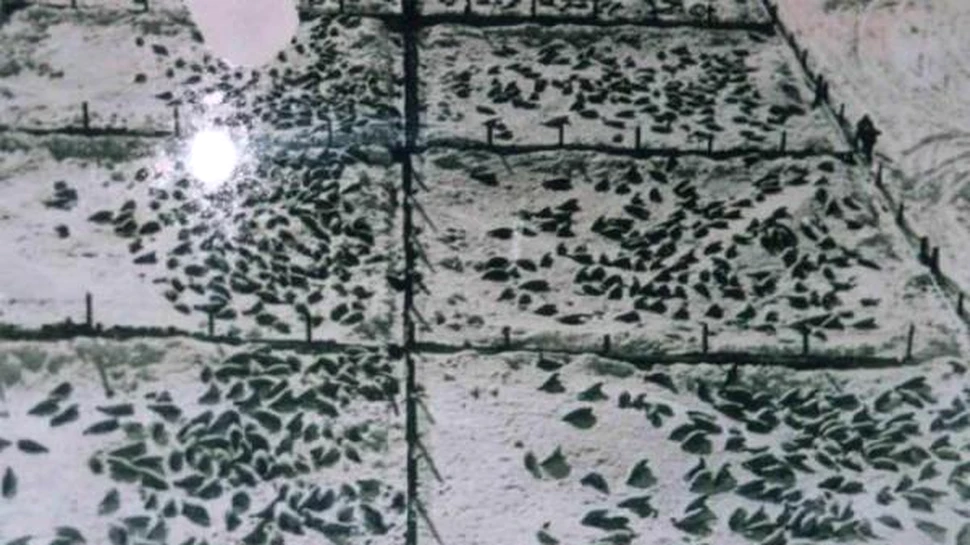 Stiati ca exista lagare de exterminare pentru animale?