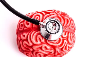 De-a lungul vieții, creierul trece prin 5 „epoci”, arată un studiu amplu