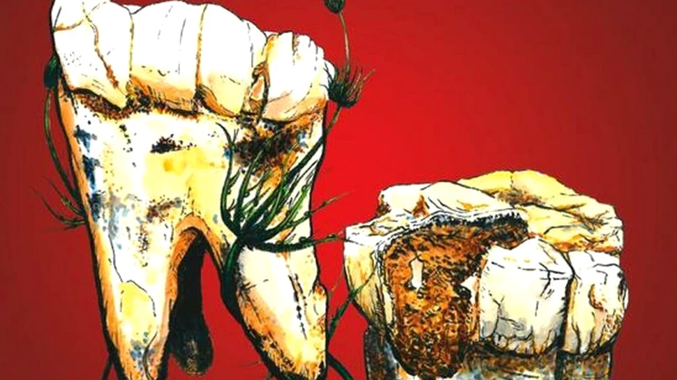 În urmă cu 3,5 milioane de ani, strămoșii noștri erau vegetarieni, relevă un nou studiu