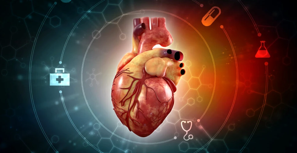 Care sunt simptomele timpurii ale insuficienței cardiace?