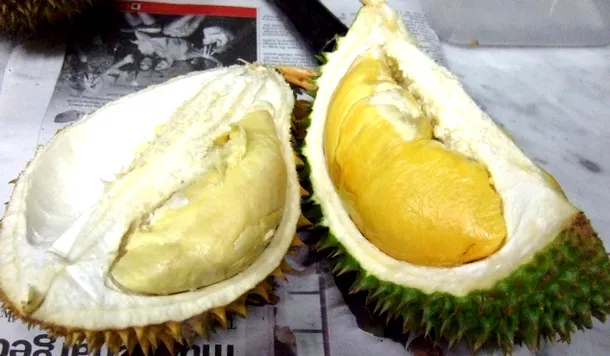 Miezul galben, cremos, al durianului, cu o aromă particulară, este considerat de unii delicios, iar de alţi dezgustător.