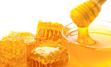 De ce rezistă mierea câteva mii de ani fără să se strice? Cercetătorii au descifrat secretul