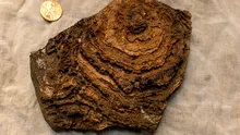 Unele dintre cele mai vechi semne de viață de pe Pământ, descoperite în Australia