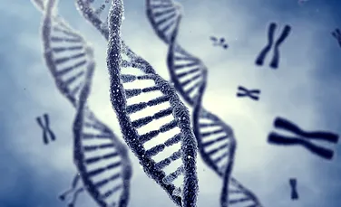 Cercetătorii au descoperit cum pot modifica genomul unui organism. Implicaţiile ar putea fi majore