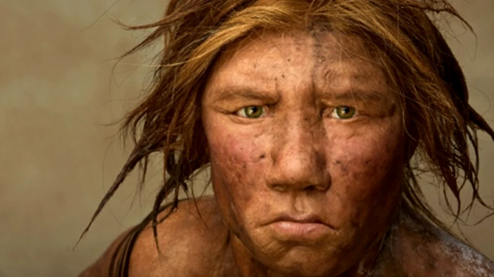 A fost reconstruita prima imagine a unui Neanderthalian