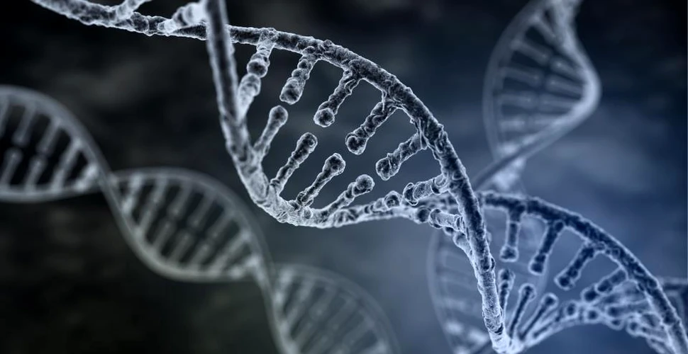Premieră! ADN-ul mitocondrial poate fi transmis şi de la tată la copil