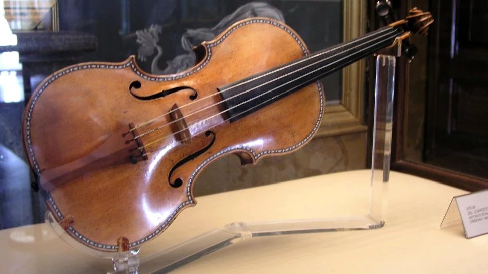 Rivala instrumentelor Stradivarius: vioara creată cu ajutorul ciupercilor