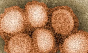 A fost descoperită gena care permite gripei sa ne ucidă
