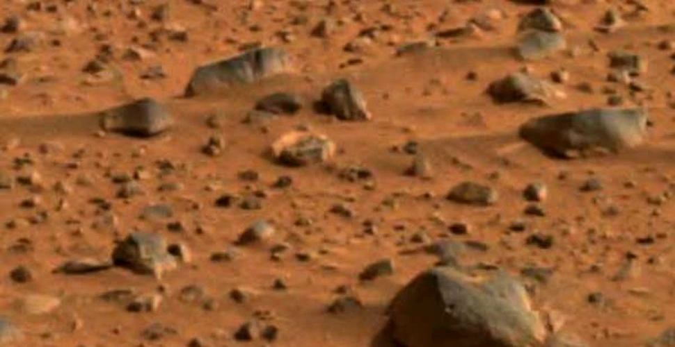 Existenta vietii pe Marte poate fi confirmata