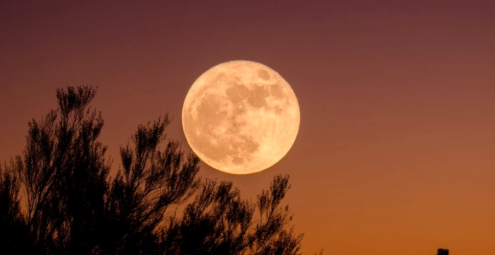 Lunile pot avea luni la rândul lor? Un nou studiu susţine că este posibil