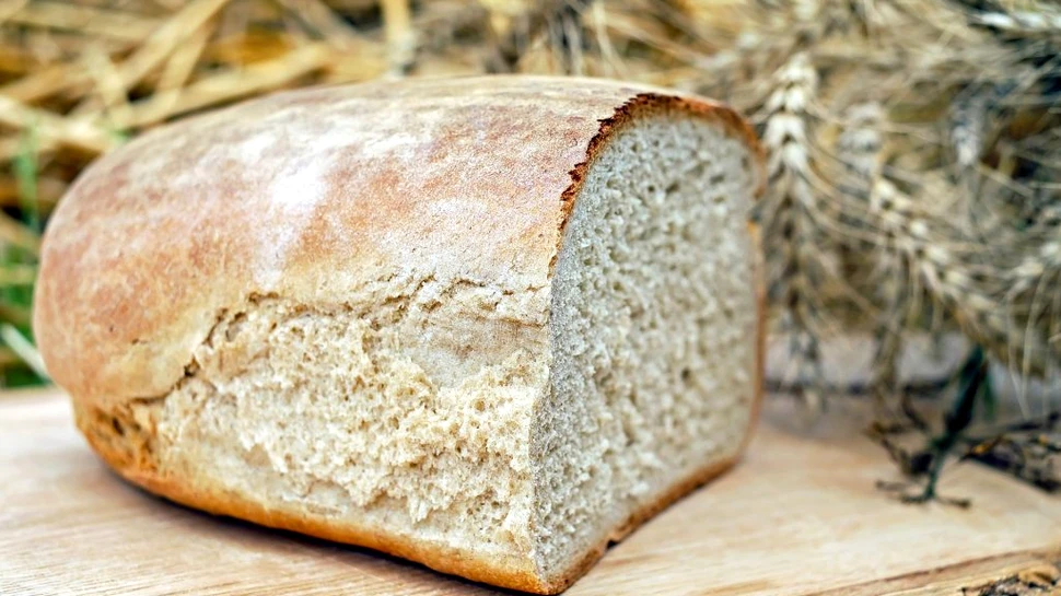 Care va fi producția de grâu a României în 2022? „Zarurile nu au fost încă aruncate“