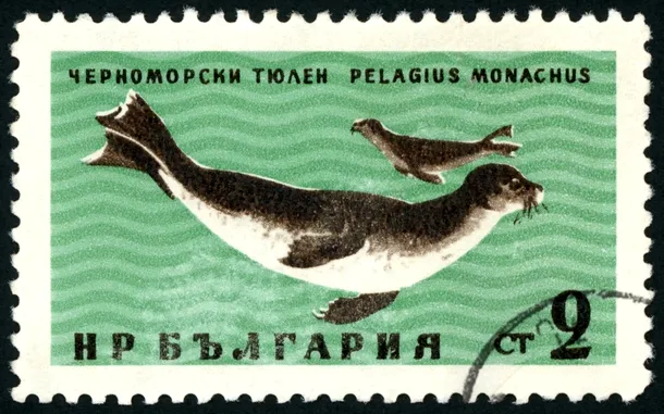 Marcă poştală bulgărească ce reprezintă o foci călugăriţe