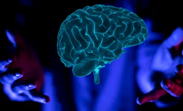 Cum se dezvoltă, de fapt, creierul? Un studiu aruncă o nouă lumină asupra cogniției