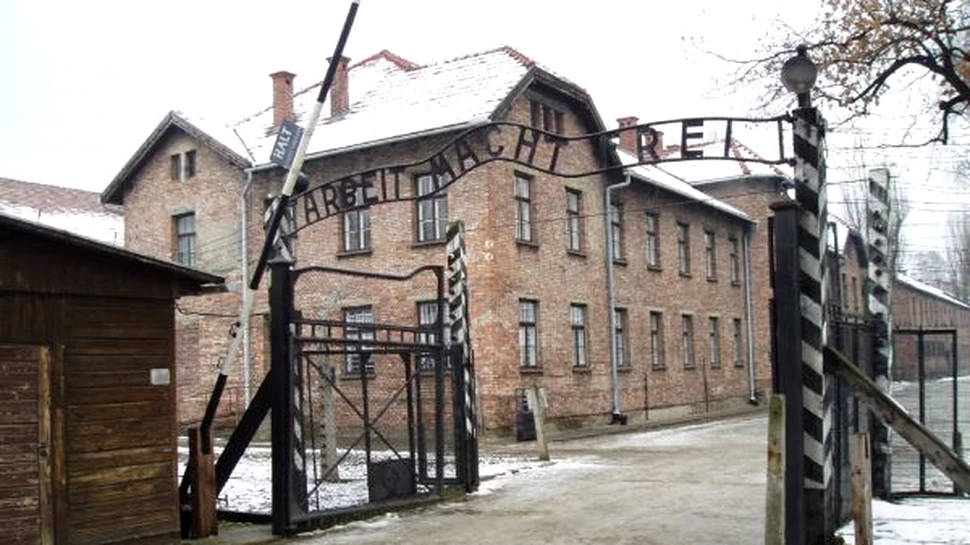 Auschwitz, o marca de bere? Incultura la putere!
