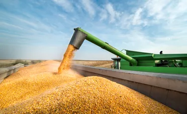 Irak, Iran și Arabia Saudită vor cumpăra cereale din regiunea ucraineană ocupată Zaporizhzhia