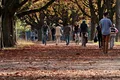 Cum va fi vremea în septembrie. Primele săptămâni aduc temperaturi scăzute