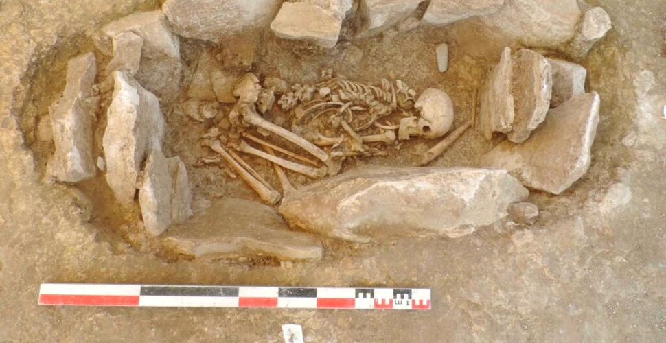 Mormântul unei femei războinice din Epoca de Piatră, descoperit într-un cimitir plin de bărbați