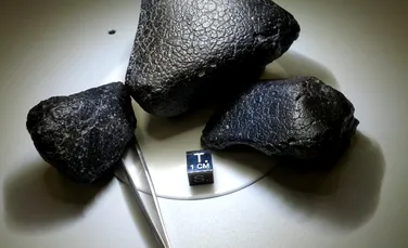 Cel mai vechi meteorit marţian găsit pe Pământ îi uimeşte pe cercetători