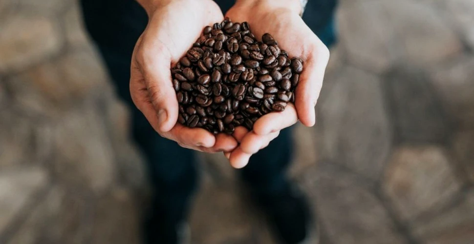 Cele mai bine cinci mărci de cafea boabe din lume în 2021