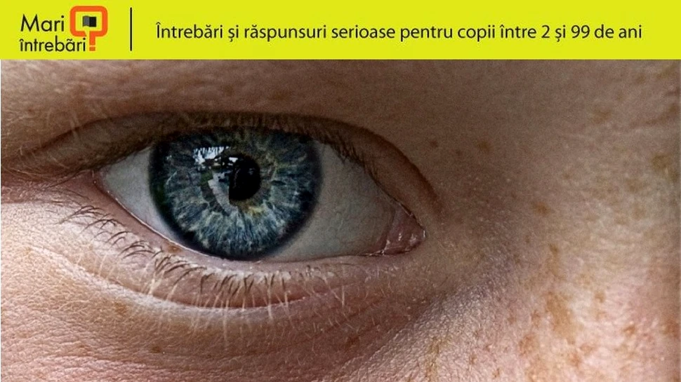Ce sunt pistruii?