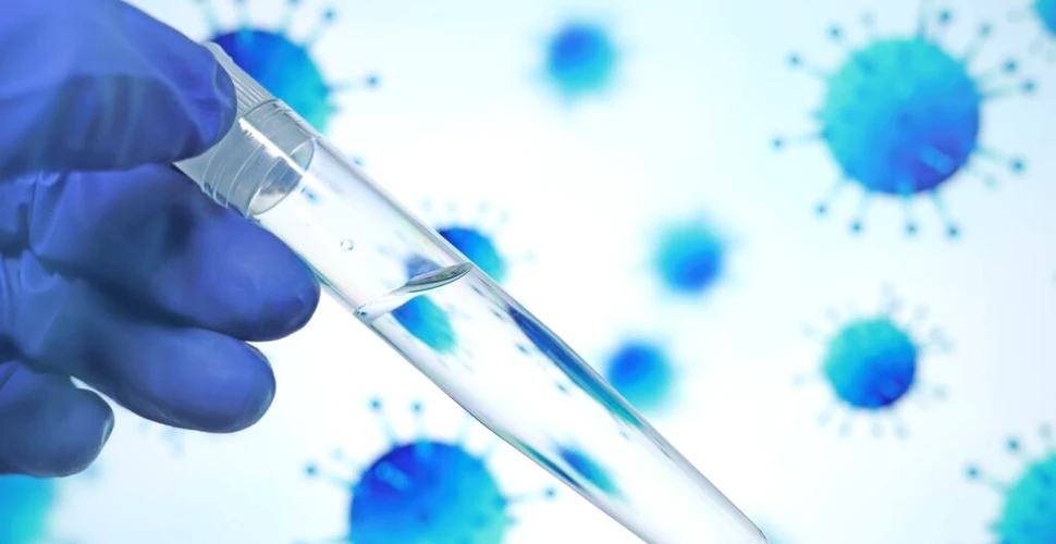 A fost descoperit un nou mecanism de apărare împotriva infecțiilor bacteriene