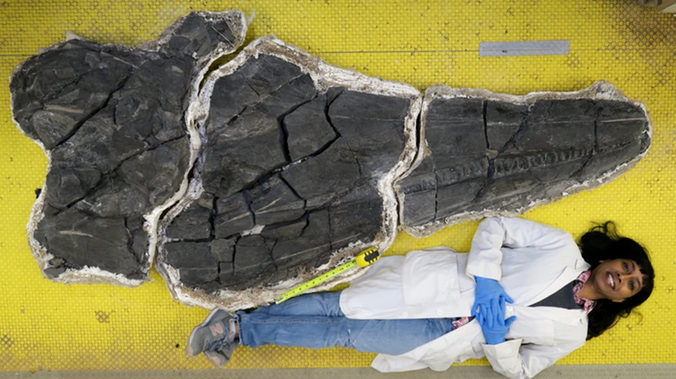 Primul gigant al planetei. Craniul de doi metri al unui ihtiozaur gigant, descoperit de cercetători