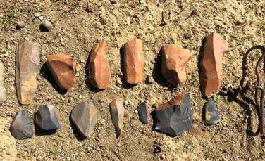 Unelte de piatră vechi de 1,5 milioane de ani ar putea rescrie istoria omenirii