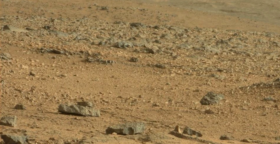 O „creatură ciudată” a fost fotografiată pe Marte de roverul Curiosity (FOTO)