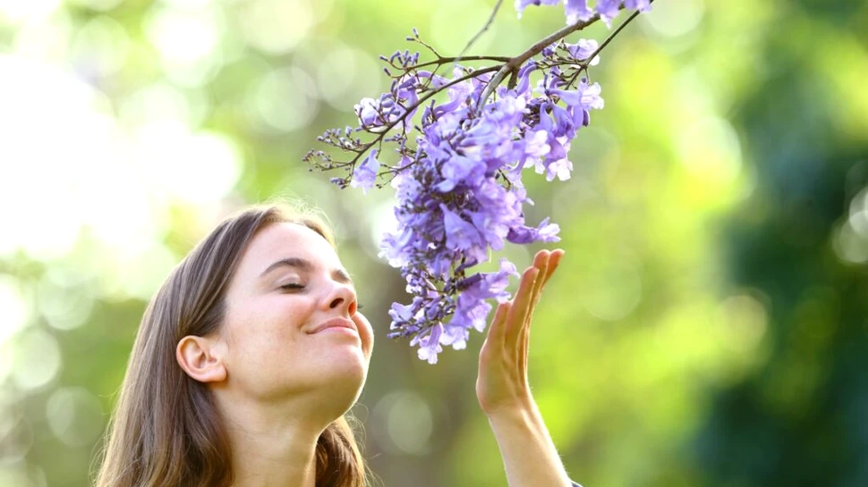 Test de cultură generală. Care este cel mai puternic simț al omului?