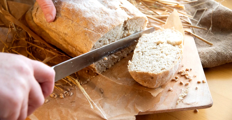 Cât de mult a crescut prețul pâinii în Uniunea Europeană în ultimul an?