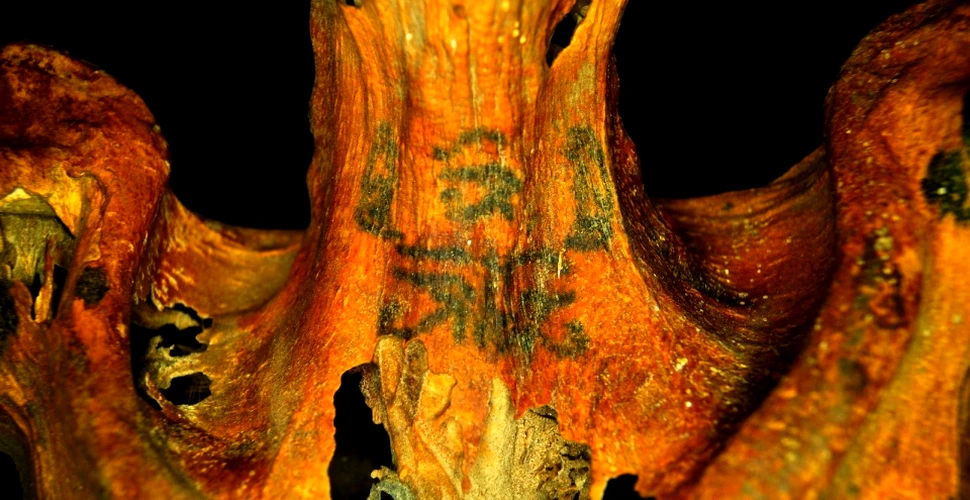 Tatuajele a şapte mumii feminine, vechi de mii de ani, oferă noi detalii interesante despre Egiptul Antic