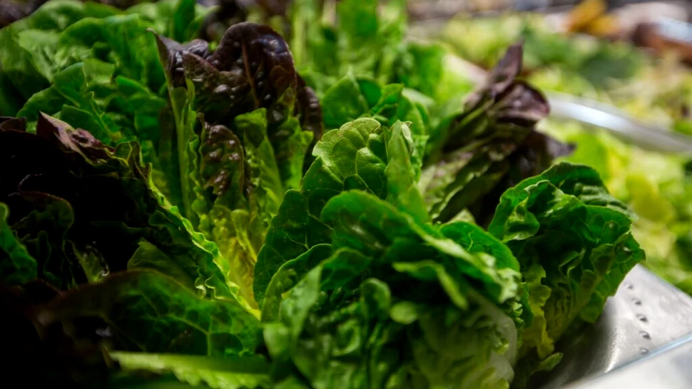 Ingredientele pentru salată, tot mai greu de găsit în Marea Britanie. Ce s-a întâmplat?