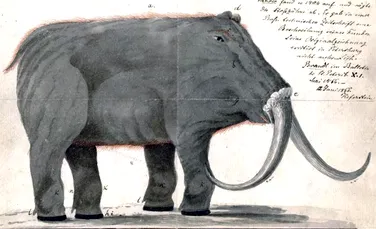 Povestea primei reconstituiri ştiinţifice a unui mamut