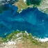Prețul cerealelor, în pericol din cauza războiului de la Marea Neagră