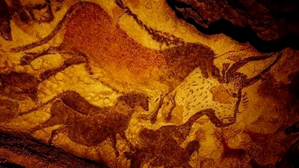 Maretul bour ar putea fi readus la viata