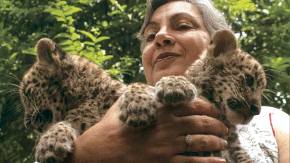 Doi pui dintr-o specie rara de leopard s-au nascut la Paris