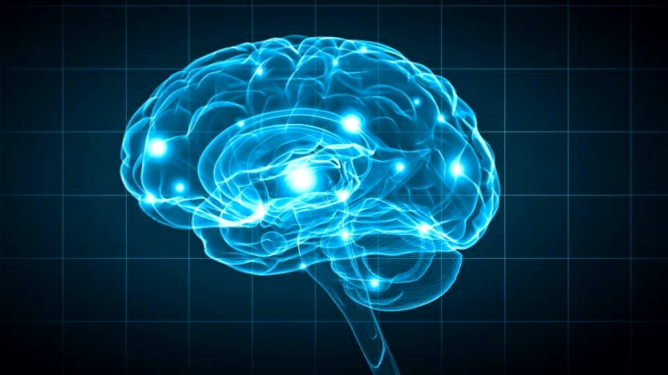 O nouă ”hartă” a creierului poate duce la descoperirea a noi tipuri de neuroni