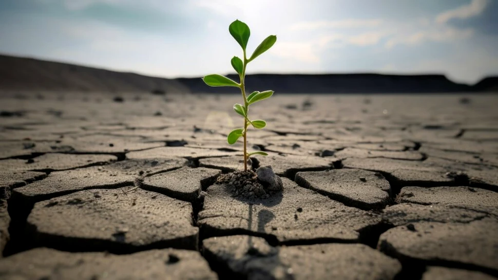 Țările cele mai afectate de valurile de căldură extremă