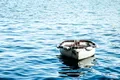 Cum a supraviețuit un pescar căzut din barcă timp de două zile în ocean?