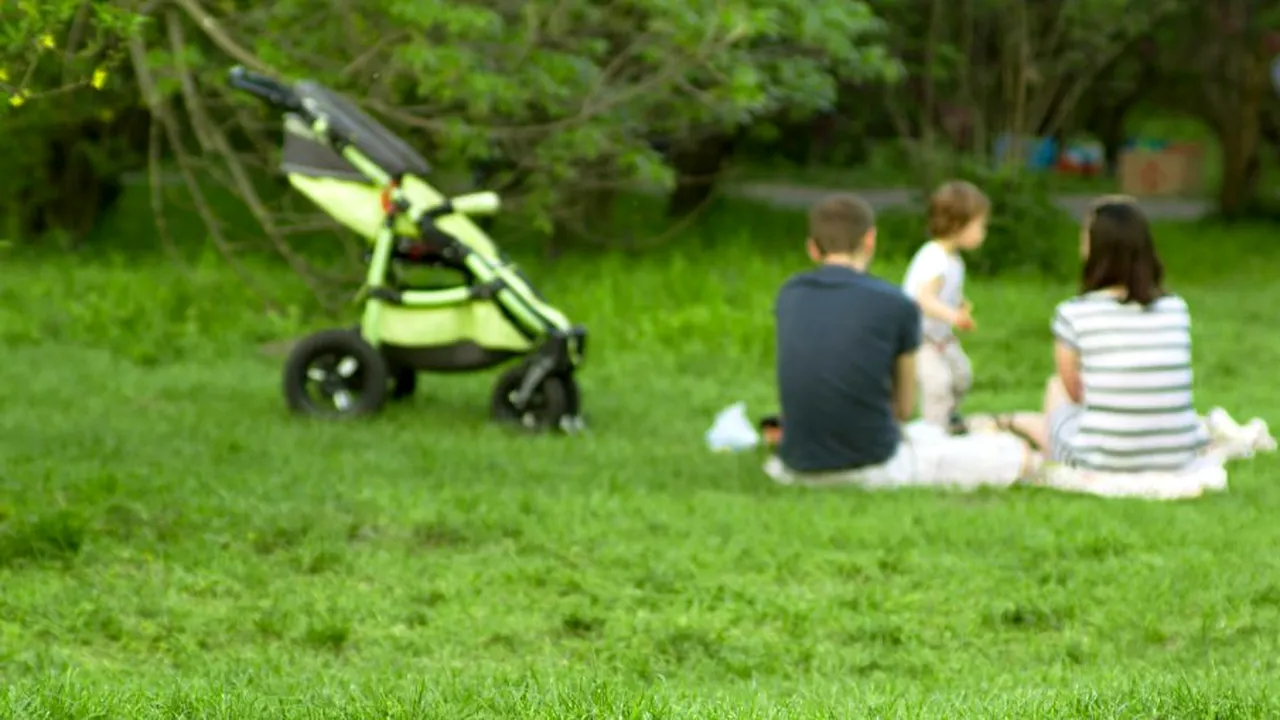 iarba-capuse-picnic-oameni-shutter_Descopera-scaled.jpg 