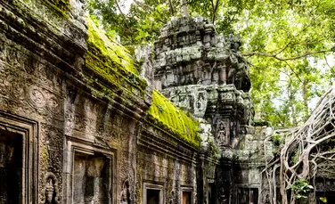 Temple budiste și peșteri ascunse, scoase la lumină în India