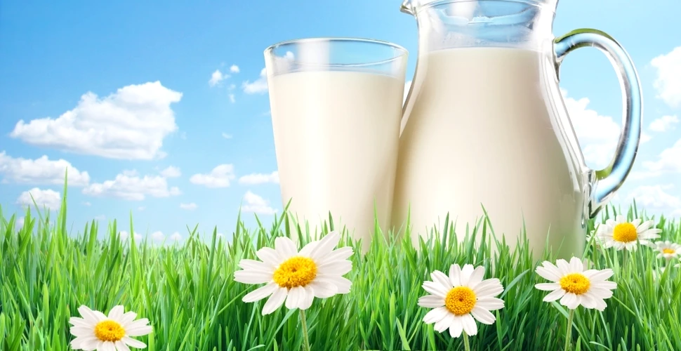 Cum poate laptele să prevină apariţia cariilor? De ce contează ordinea în care mâncăm alimentele?
