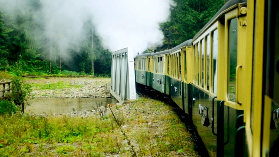 Test de cultură generală. Care este diferența dintre abur și fum?