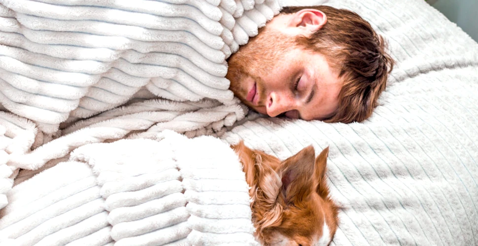 Iată de ce nu este bine să dormi în același pat cu animalele de companie