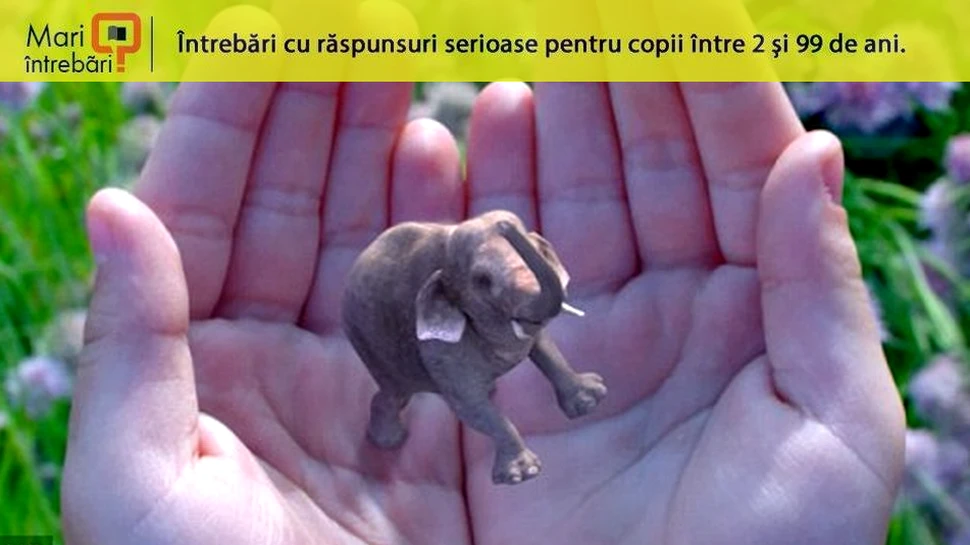 Ce este realitatea augmentată?