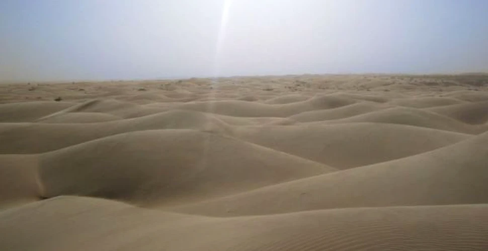 In Sahara “renasc” 80 de oaze