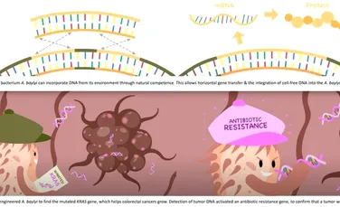 O nouă eră pentru biosenzorii capabili să identifice cancere și alte boli